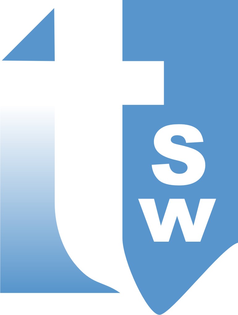 The Solution World Logo